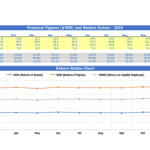 Return Ratios Calculator Overview for 2020 | eFinancialModels Chart showing ROA, ROE, and ROCE trends across each month in 2020.