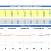 Debt Ratios Excel Template Calculator | eFinancialModels