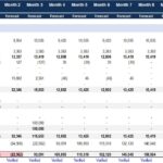 Pro Forma Cash Flow Statement Overview | eFinancialModels Pro Forma Cash Flow Statement showcasing cash flows from operating, investing, and financing activities.