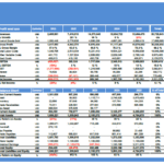 Detailed financial model showing profit, cash flow, and valuation for a care center startup.