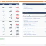Financial Statement Overview | eFinancialModels Financial statement showing current and fixed assets, liabilities, and equity breakdown.