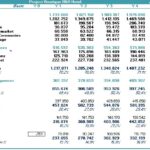 Profit and Loss Statement for Boutique Hotel Project | eFinancialModels Profit and Loss statement detailing revenue, costs, and profitability for a hotel project over five years.