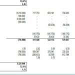 Free Cash Flow Equity and NPV Calculation Spreadsheet | eFinancialModels Financial spreadsheet displaying free cash flow equity, IRR, and NPV calculations.