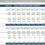 20-year income statement showing revenue, expenditures, and NPAT for Hotel (1).