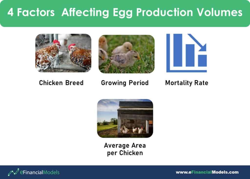 Factors Influencing Egg Production Volumes | eFinancialModels Four factors influencing egg production: breed, growing period, mortality rate, and space per chicken.