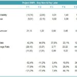 Financial Ratios for BNPL Project Analysis | eFinancialModels Financial ratios chart showing liquidity, efficiency, leverage, and profitability for BNPL project across five years.