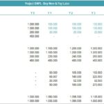 Capex Schedule for BNPL Project | eFinancialModels Capital expenditure schedule for a Buy Now Pay Later project with detailed yearly investments.