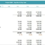 Proforma Profit and Loss Statement for BNPL Project | eFinancialModels Proforma P&L showing revenue, COGS, and gross profit projections for BNPL.
