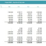 Proforma Balance Sheet for BNPL Project | eFinancialModels Proforma balance sheet detailing asset and equity projections for BNPL project.