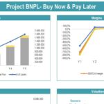 BNPL Project Financial Overview | eFinancialModels Chart displaying users, revenue, and margins for BNPL project over five years.
