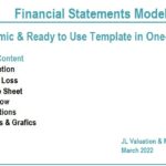 Overview of one-sheet financial model listing key components like P&L and cash flow.