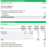 Summary of Diluted Shares Outstanding | eFinancialModels Chart showing diluted shares outstanding and details of dilutive instruments including stock options and restricted stock units.