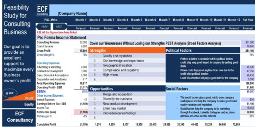 Financial Feasibility Study – Business Consultancy