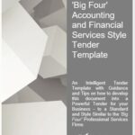 Big Four Style Tender Template Overview | eFinancialModels Professional tender template designed for 'Big Four' accounting firms.