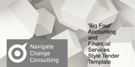 Big 4 Accounting and Financial Services Tender Template