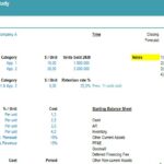 LBO real case study financial model including revenue, COGS, and balance sheet details.