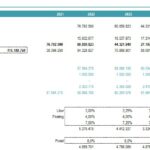 Debt Schedule Overview for Financial Planning | eFinancialModels Debt schedule showing revolving and subordinated debt balances and interest rates by year.