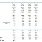 5-Year Financial Projections for LBO Analysis | eFinancialModels 5-year profit and loss statement with levered free cash flow details.