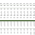 SaaS Financial Model Metrics Overview | eFinancialModels SaaS financial model template showing MRR, churn rates, and customer acquisition costs over months.