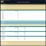 Shoe Store Financial Model Assumptions Overview | eFinancialModels Key assumptions for shoe store financial model, including product distribution and sales categories.