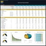 Financial model data showing KPIs and ratios for a tech store with visual charts.