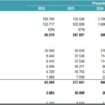 5. Profit & Loss Statement | eFinancialModels Profit and Loss statement with revenue, COGS, and expenses for the years 2022 to 2026.