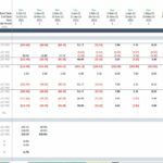 NPV and IRR Financial Model Summary | eFinancialModels Detailed NPV and IRR calculation chart showing free cash flows and funding structure.