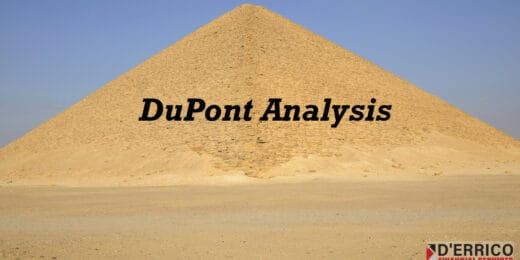 DuPont Analysis Model