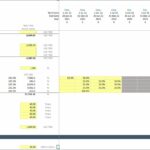 Assumption tab displaying project costs and capacity inputs in a financial model.
