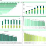 Charts displaying customer revenue and cost analysis for IT services.