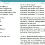 REIT Financial Model Structure Overview | eFinancialModels Outline of REIT model structure including P&L, cash flow, and NAV calculations.