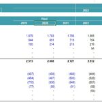 Consolidated Profit and Loss Statement Overview | eFinancialModels Consolidated Profit and Loss statement displaying revenue and expenses from various sources