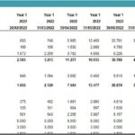 First Year Profit and Loss Statement for 2022 | eFinancialModels First year profit and loss analysis highlighting revenues and expenses for 2022.