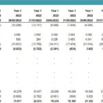 First Year Cash Flow Statement Analysis (2022) | eFinancialModels Cash flow statement showing net profit and cash flows for 2022.