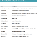 Pay-per-Visit Online Medical Marketplace Model Overview | eFinancialModels Overview of financial model sections including assumptions, financing, and calculations.