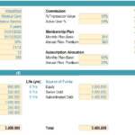 Financial Model Overview for VirtualMed | eFinancialModels Financial model for VirtualMed showing key metrics and funding sources in medical marketplace service.