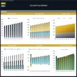 Financial dashboard displaying revenue, costs, and cash flow trends for a city hotel.