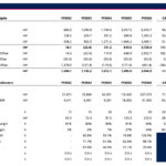 Financial summary chart detailing revenue, EBITDA, and key indicators for a SaaS model