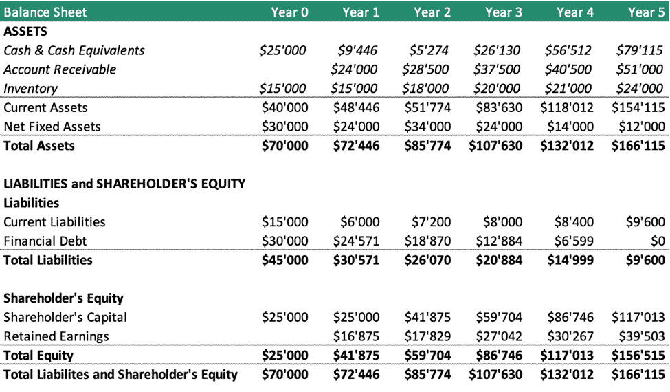Five-Year Balance Sheet Overview | eFinancialModels Five-year balance sheet displaying assets, liabilities, and shareholder equity breakdown for a business.