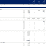Portfolio Cash Flows and Investment Returns Overview | eFinancialModels Portfolio cash flow model showing investments, dividends, and distributions over multiple years.