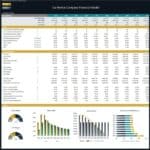 Financial model showing metrics like EBITDA, profit margins, and ROI for a car rental company.