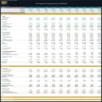 Financial statements detail revenue, costs, and net income for car rental operations.