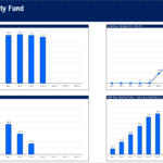 Financial Performance Metrics of Umbrella Private Equity Fund | eFinancialModels Financial metrics chart showing distributions and asset values for a private equity fund.