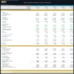 Annual Financial Statements for Martial Arts Studio | eFinancialModels Annual financial statements showcasing revenues, expenses, and net income for a martial arts studio.