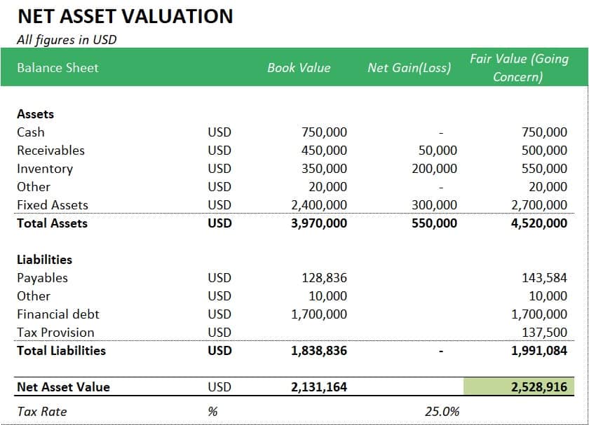Net Asset Valuation Balance Sheet Overview | eFinancialModels Balance sheet detailing net asset valuation with assets, liabilities, and fair value assessment