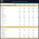 Annual financial statements illustrating revenue, expenses, and net profit projections.