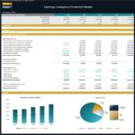 Detailed cash flow statement for a startup from 2013 to 2022 with bar and pie charts.