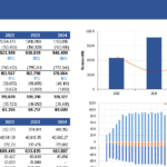 VGOLF financial model showing profit & loss and balance sheet data from 2020 to 2024.