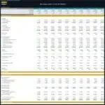Annual financial overview showing revenue, expenses, and cash flow for a boutique gym model.