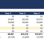 Financial model showing 10-year projection of Gross Levered IRR and cash flows in private equity.